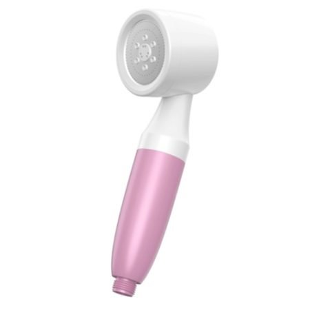 Handheld shower filter